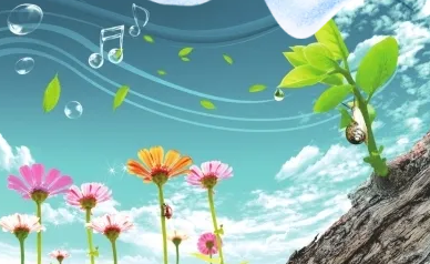 1582529739387027.png image.png