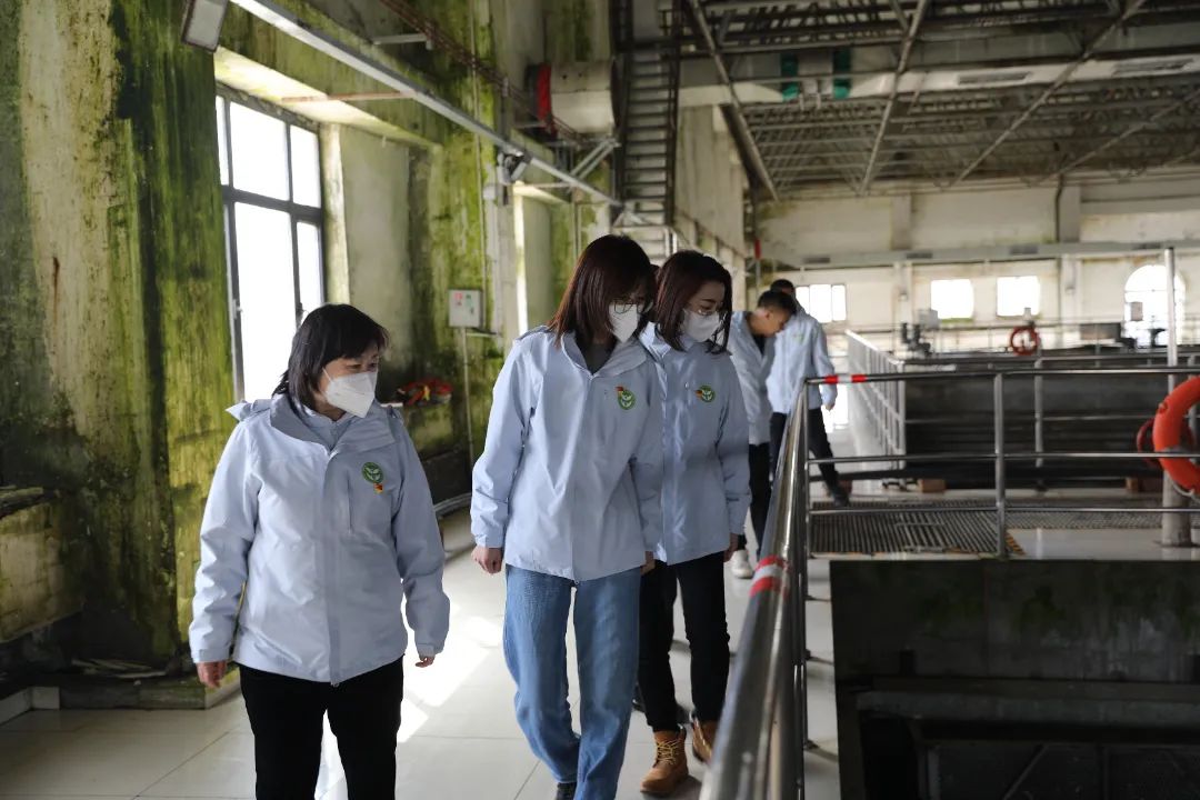 1718175208.jpg 2.jpg